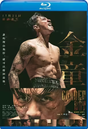 Golden Boy 2025 1080p BluRay x264 WiKi