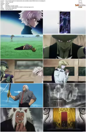 Hunter x Hunter 2011 S01-S06 1080p NF WEB-DL AAC2.0 H264-ZigZag
