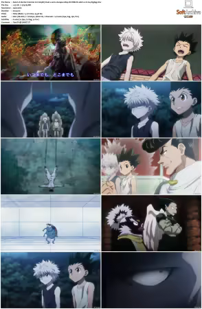 Hunter x Hunter 2011 S01-S06 1080p NF WEB-DL AAC2.0 H264-ZigZag