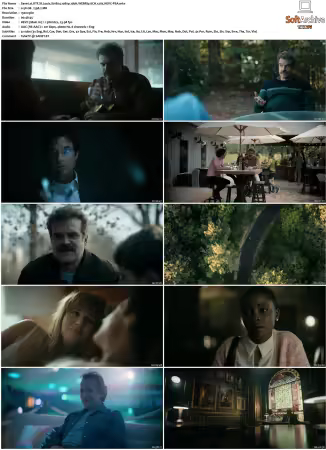 DTF St Louis S01 1080p 10bit WEBRip 6CH x265 HEVC-PSA