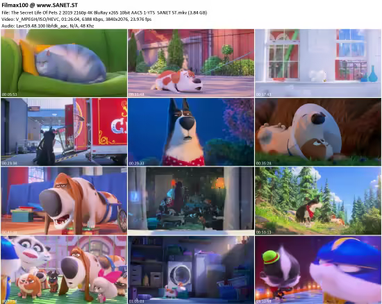 The Secret Life Of Pets 2 2019 2160p 4K BluRay x265 10bit AAC5.1-YTS