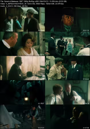Matewan 1987 1080p BluRay x265 10bit EAC3 1.0 r00t