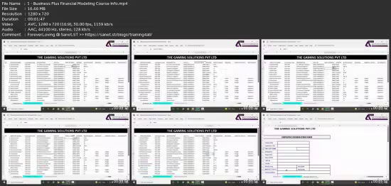 Excel Financial Modeling And Business Modeling Course