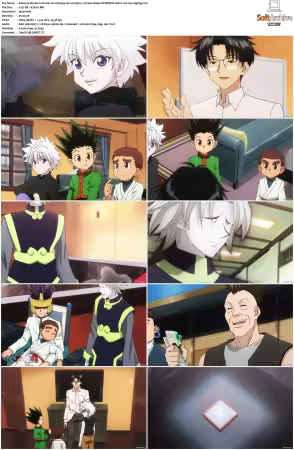 Hunter x Hunter 2011 S01-S06 1080p NF WEB-DL AAC2.0 H264-ZigZag