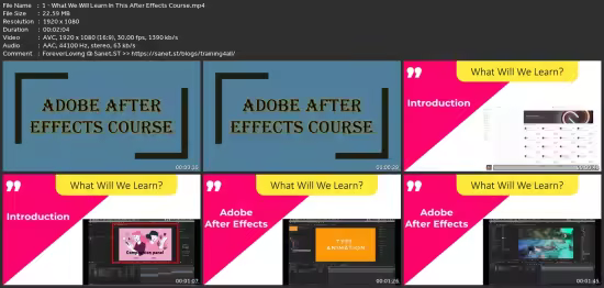 After Effects 2022 - Adobe After Effects Beginner