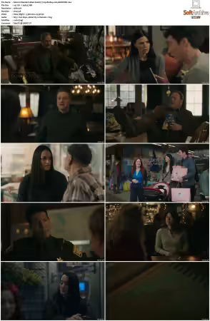 Resident Alien S04 720p BluRay x264-BORDURE