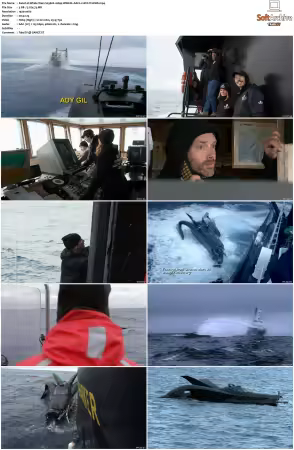 Whale Wars S03 1080p WEB-DL AAC2.0 AVC-TrollHD