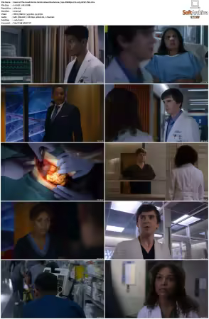 The Good Doctor S01 S07 720p WEBRip 2CH x265 HEVC-PSA