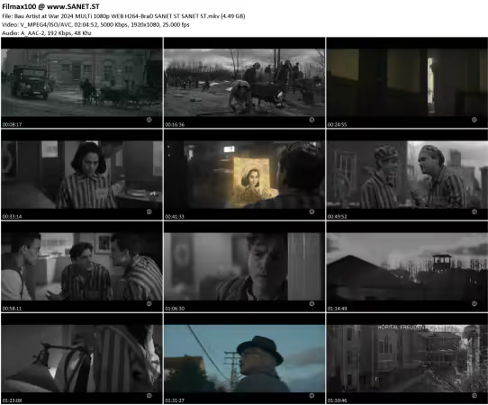 Bau Artist at War 2024 MULTi 1080p WEB H264-BraD