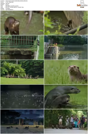 Uptown Otters S01 1080p WEB H264-CBFM