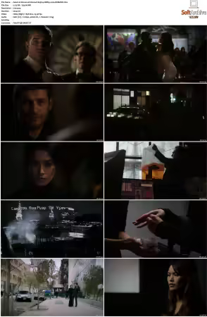 Person of Interest S01-S05 DVDRip XviD BDRip x264-Scene