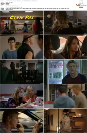 Cobra Kai S01 2160p NF WEB-DL DDP5.1 H265-XEBEC