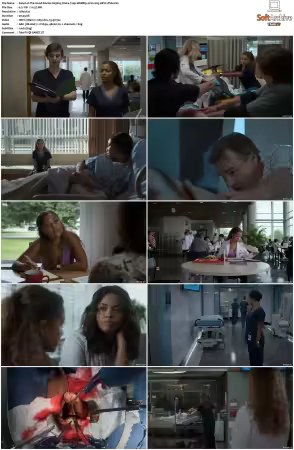 The Good Doctor S01 S07 720p WEBRip 2CH x265 HEVC-PSA