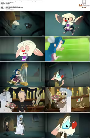 Animaniacs 2020 S01 S03 1080p HULU WEBRip DDP5 1 x265-EDGE2020