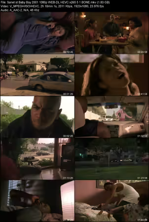 Baby Boy 2001 1080p WEB-DL HEVC x265 5.1 BONE