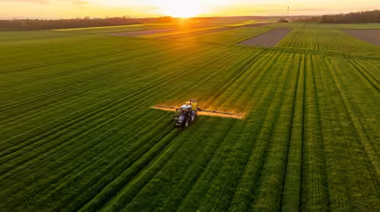 Commercial Farming Business
