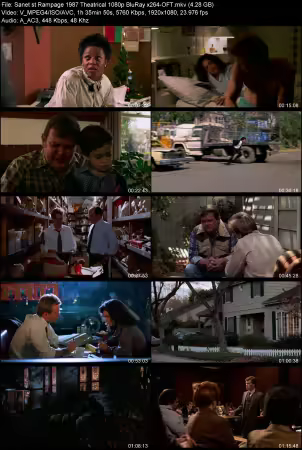 Rampage 1987 Theatrical 1080p BluRay x264-OFT