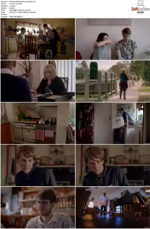 Please Like Me S01 S04 DVDRip XviD x264-Scene