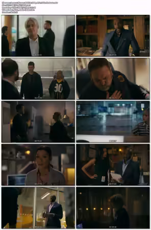 Watson S02E18 1080p AV1 10bit-MeGusta