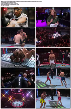 UFC Fight Night 273 Burns vs Malott 1080p WEB-DL H264 Fight-BB