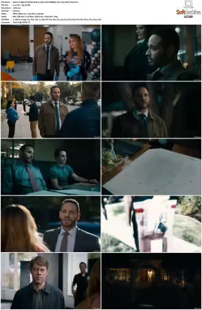 High Potential S02 RERIP 720p 10bit WEBRip 2CH x265 HEVC-PSA