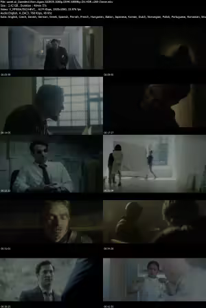 Daredevil Born Again S02E05 1080p DS4K WEBRip DV HDR x265-Zinnie