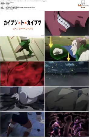 Hunter x Hunter 2011 S01-S06 1080p NF WEB-DL AAC2.0 H264-ZigZag