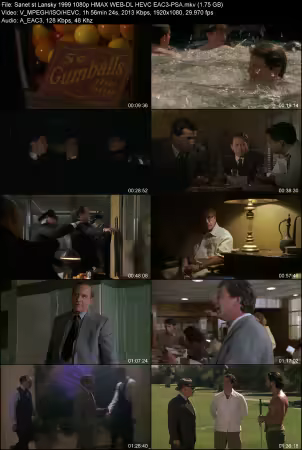 Lansky 1999 1080p HMAX WEB-DL HEVC EAC3-PSA