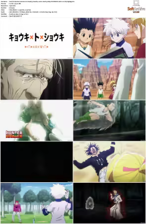 Hunter x Hunter 2011 S01-S06 1080p NF WEB-DL AAC2.0 H264-ZigZag