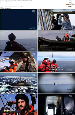Whale Wars S04 1080i HDTV DD5.1 MPEG2-TrollHD