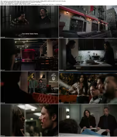 Law and Order SVU S27E17 Deep Under 1080p AMZN WEB-DL DDP5 1 H 264-NTb