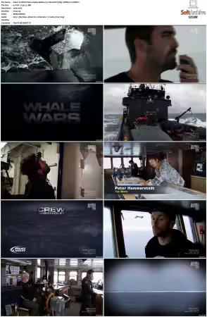 Whale Wars S04 1080i HDTV DD5.1 MPEG2-TrollHD