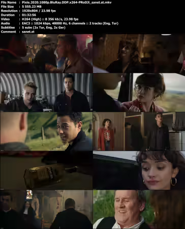 Pixie 2020 1080p BluRay DDP x264-PRoDJi