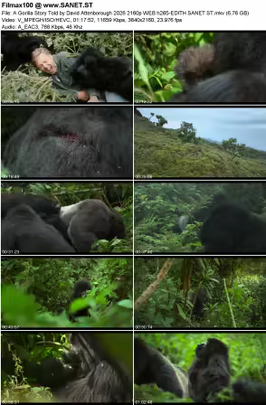 A Gorilla Story Told by David Attenborough 2026 2160p WEB h265-EDITH