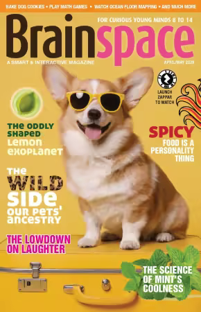 Brainspace - April/May 2026