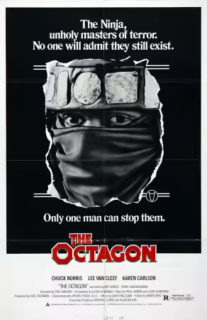 The Octagon 1980 1080p WEB-DL HEVC x265 BONE