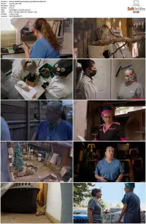Wildlife Rehab S03 720p WEB H264-SHIIIT