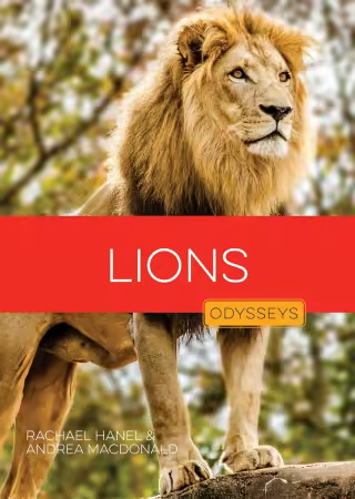 Lions (Odysseys in the Wild)