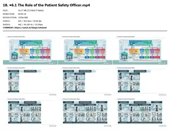 Patient Safety: A Comprehensive Course