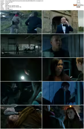 Wolfblood 2012 S05 1080p AMZN WEBRip DDP 2.0 x265-edge2020