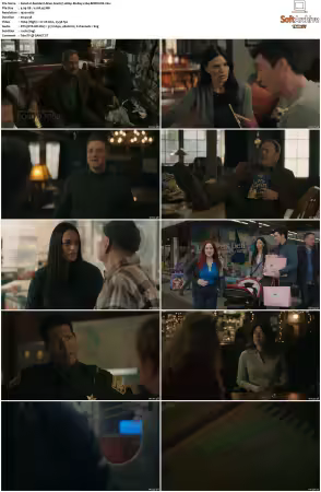 Resident Alien S04 1080p BluRay x264-BORDURE