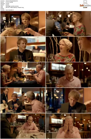 Please Like Me S01 S04 DVDRip XviD x264-Scene