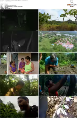 Walking The Americas S01 HDTV 720p x264 -GTi