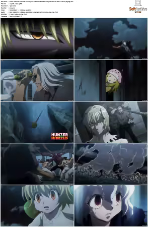 Hunter x Hunter 2011 S01-S06 1080p NF WEB-DL AAC2.0 H264-ZigZag