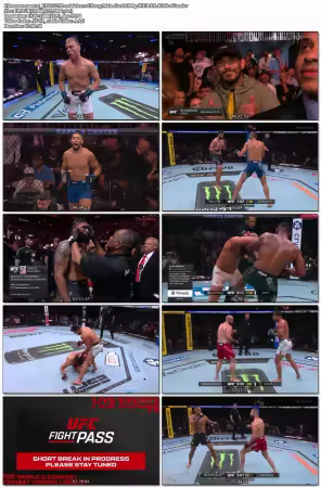 UFC 327 Prochazka vs Ulberg Main Card 1080p WEB-DL H264-nVa