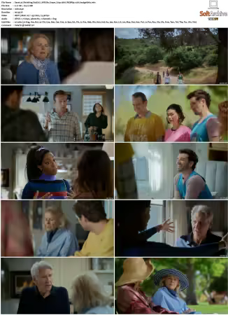 Shrinking S01 S03 720p 10bit WEBRip x265-budgetbits
