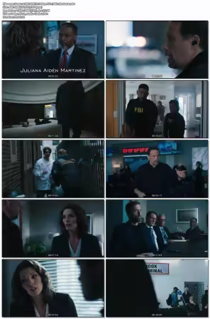 FBI S08E19 1080p AV1 10bit-MeGusta