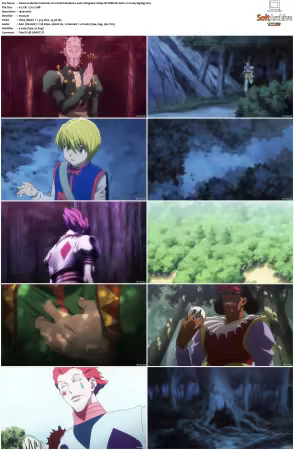 Hunter x Hunter 2011 S01-S06 1080p NF WEB-DL AAC2.0 H264-ZigZag