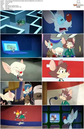 Animaniacs 2020 S01 S03 1080p HULU WEBRip DDP5 1 x265-EDGE2020