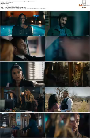 High Potential S02 RERIP 720p 10bit WEBRip 2CH x265 HEVC-PSA
